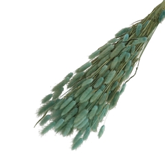 Dried Flowers Lagurus 65cm 100g