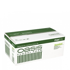 Oasis Brick Standard X35 23*11*8cm