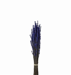 Lavandula Dark Blue Per Bunch 45cm