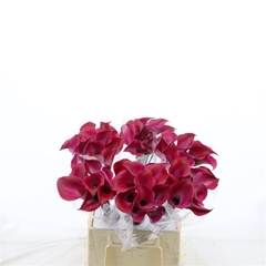 Zantedeschia Tokyo 45cm