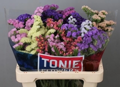 Limonium Sinuatum Mix 60cm 30gr.