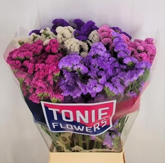 Limonium Sinuatum Mix 70cm 35gr.