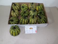 Cucurbita Pepo Sweet Dumpling 12cm