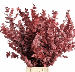 Eucalyptus Stuartiana Red Per Bunch 70cm 150gr.