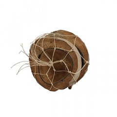 Dried Articles Coco Half 20cm X2