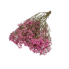 Dried Flowers Gyps 70cm 50g