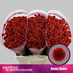 Chrysanth Santini Kismo Amber 55cm 40gr.