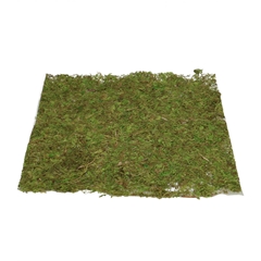Dried Articles Moss Sheet Vk D28cm