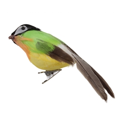 Spring Bird/clip D13cm X6