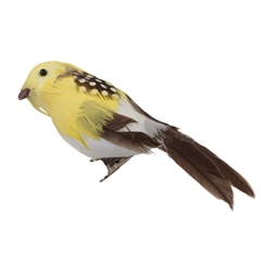 Spring Bird/clip D13cm X6