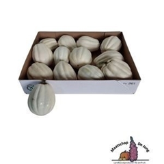 Cucurbita Pepo Baby Boo 10cm