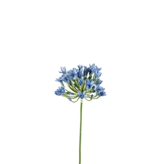 Artificial Flowers Agapanthus 75cm