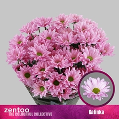 Chrysanth Spray Katinka 70cm 75gr.