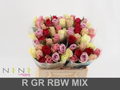 Rosa Mixed 40cm
