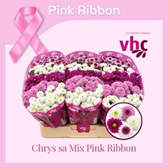 Chrysanth Santini Mix 55cm 40gr.