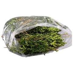 Buxus Sempervirens Per Bunch 35cm 301gr.