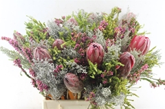 Protea Per Bunch 50cm