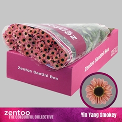 Chrysanth Santini Yin Yang Smokey 55cm 48gr.