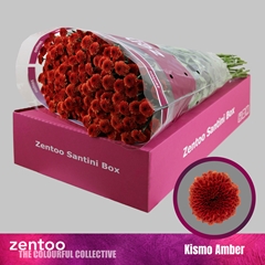 Chrysanth Santini Kismo Amber 55cm 44gr.