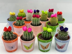 Cactus Decorated 8Ø 8cm