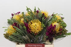 Bouquet Leucospermum Joti 40cm