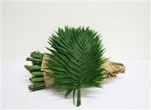 Chamaedorea Chico Leave 45cm