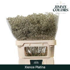 Gypsophila Painted Metallic Platinum 80cm 30gr.
