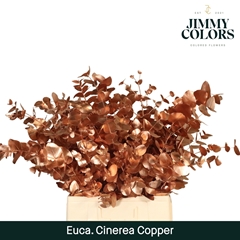 Eucalyptus Cinerea Painted Copper Per Bunch 70cm 200gr.