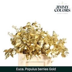 Eucalyptus Populus Painted Gold Berry Per Bunch 60cm 200gr.
