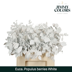 Eucalyptus Populus Painted White Berry Per Bunch 60cm 200gr.