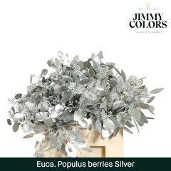 Eucalyptus Populus Painted Silver Berry Per Bunch 60cm 200gr.