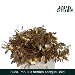 Eucalyptus Populus Painted Antique Gold Per Bunch 60cm 200gr.