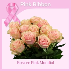 Rosa Pink Mondial 50cm
