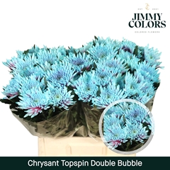 Chrysanth Single Painted Topspin Double Bubble 70cm 70gr.