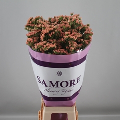 Limonium Sinuatum Royal Orange 70cm 35gr.
