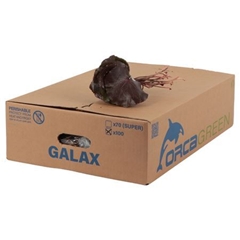 Galax Urceolata Per Bunch 20cm
