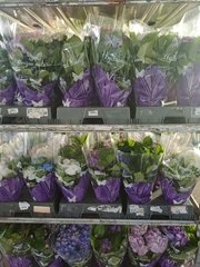 Hydrangea Mix 14Ø 40cm 3bl