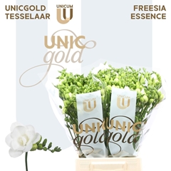 Freesia Double Essence 50cm 20gr.