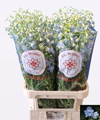 Delphinium Single Ballkleid 100cm