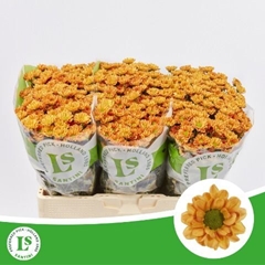 Chrysanth Santini Rossi Orange 55cm 44gr.