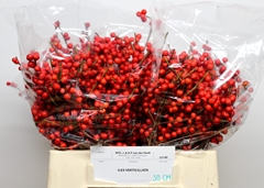 Ilex Verticillata 30cm