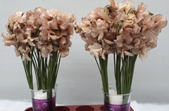 Lathyrus Painted Bronze 35cm