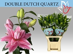 Lily Oriental Double Double Dutch Quartz 100cm 6+