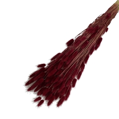Dried Flowers Lagurus 65cm 100g