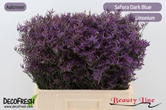 Limonium Safora Dark Blue 60cm 25gr.