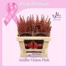 Astilbe Vision In Pink 65cm