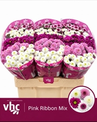 Chrysanth Santini Mix 55cm 40gr.