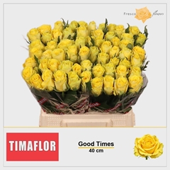 Rosa Good Times 40cm