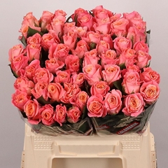 Rosa Miss Piggy+ 40cm