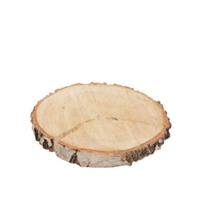 Dried Articles Woodslice Birch D14cm